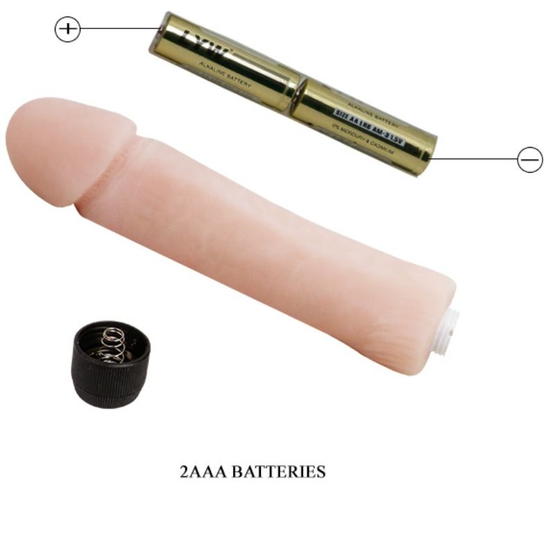DANCE - LOVE COMPANION DILDO VIBRADOR 25 CM