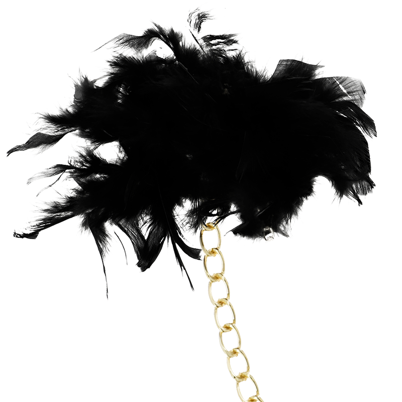 COQUETTE CHIC DESIRE - ESPOSAS DE LUJO