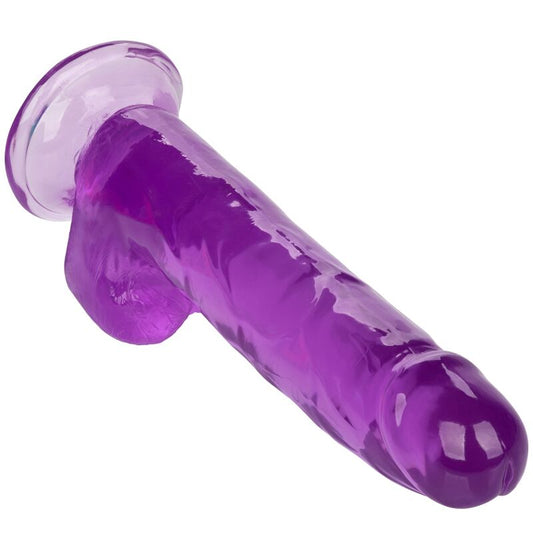 CALEXOTICS - QUEEN SIZE PURPLE DILDO 20.3 CM